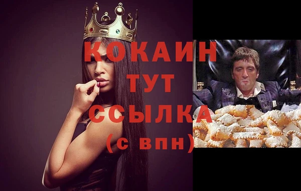 стафф Волосово